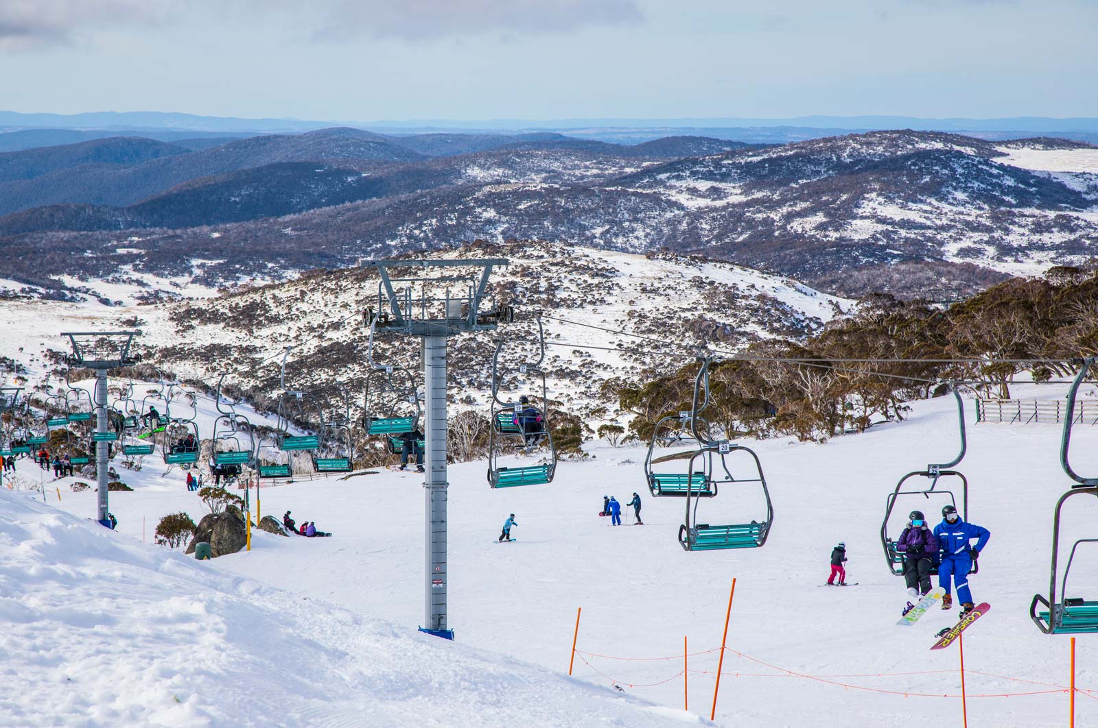 Blue Cow, Perisher