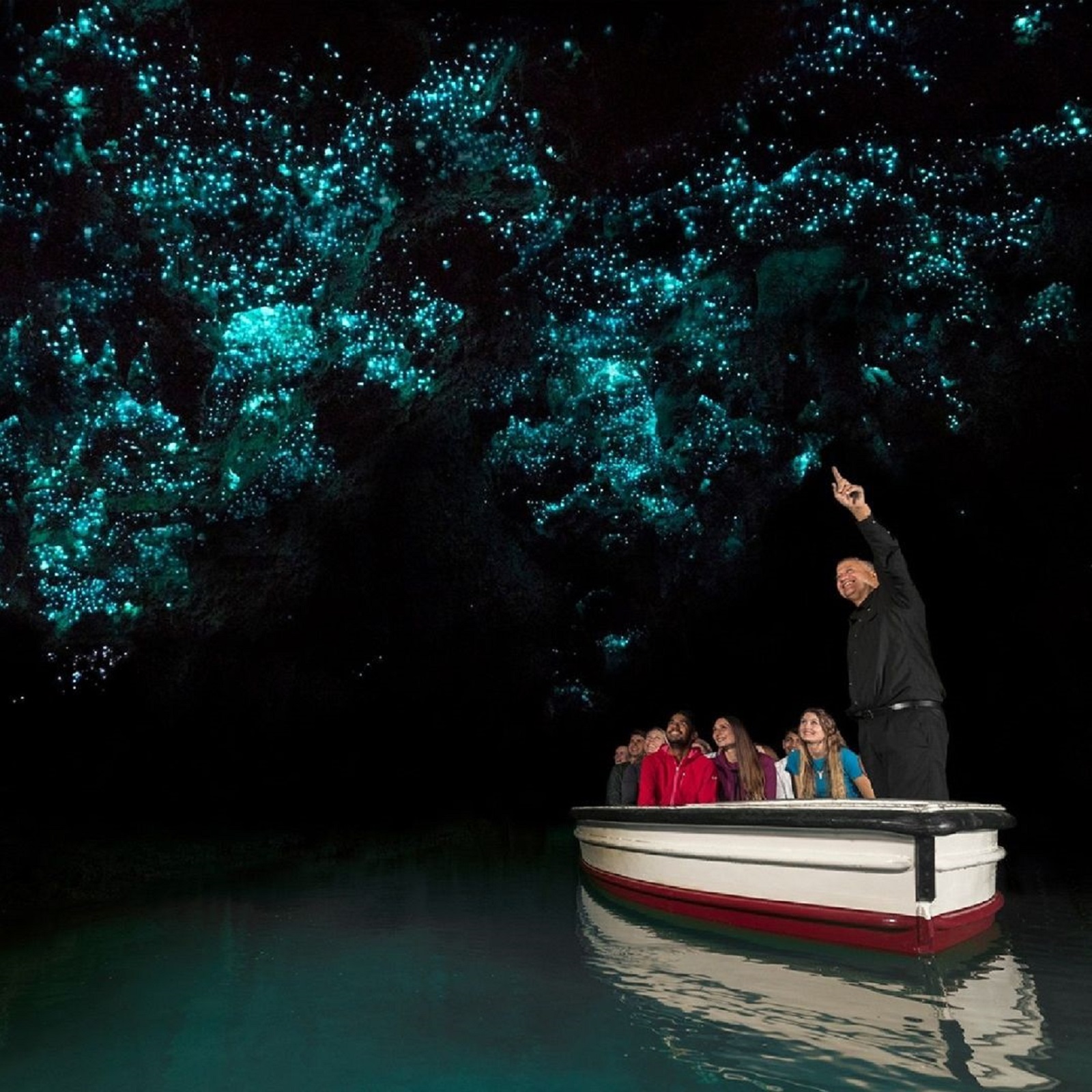 Waitomo Glow Worm Caves 