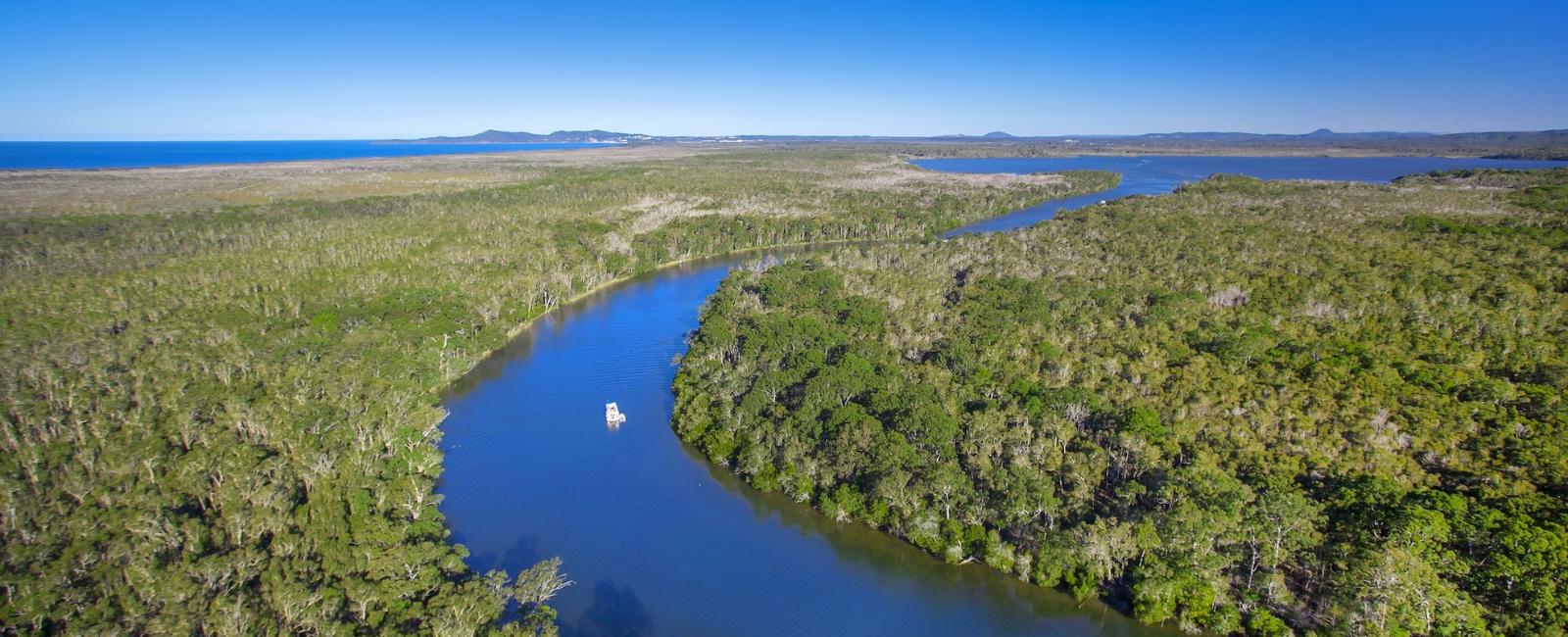 Landscape view of Noosa Everglades